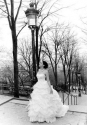 Wedding Photographer
